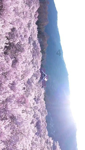 盘状永磁直流电动机