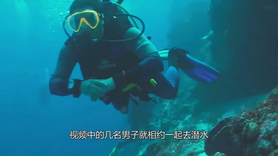 汽车上按装红蓝爆闪灯是违法的，但安装在商户牌匾上，算不算违法？？游戏画面
