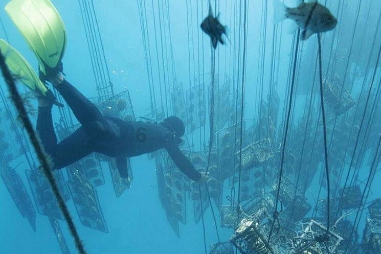 支持崖州湾科技城算力中心建设