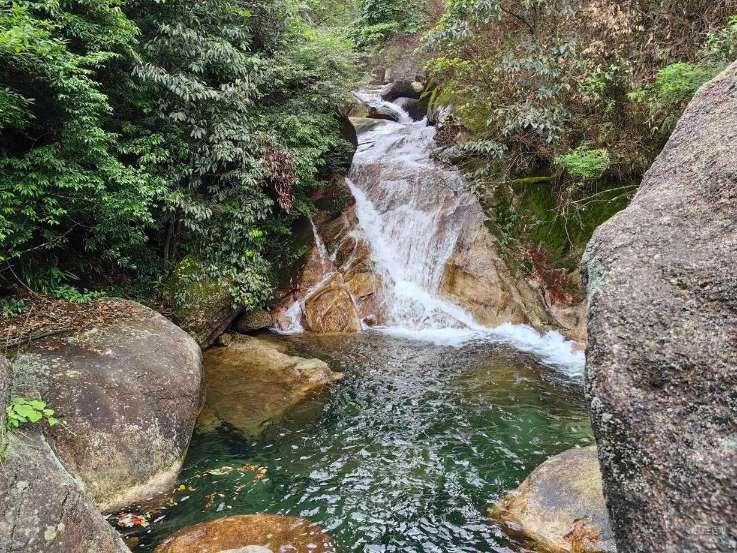 动物帮帮忙保卫家园
